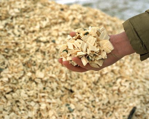 Wood Chips